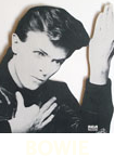 CLICK FOR BOWIE CATALOGUE