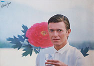 thumbnail link to original 1980 RCA David Bowie poster, Bowie holding glass of sake, in front of red crysanthamum.